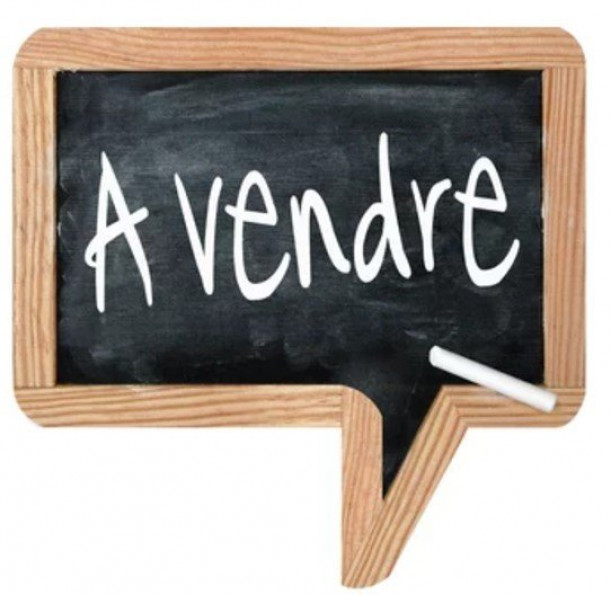 vente Terrain constructible Tigy - Photo 2