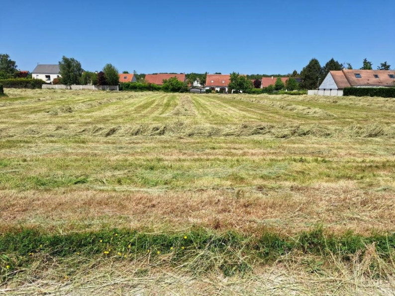 vente Terrain constructible Cercottes - Photo 4