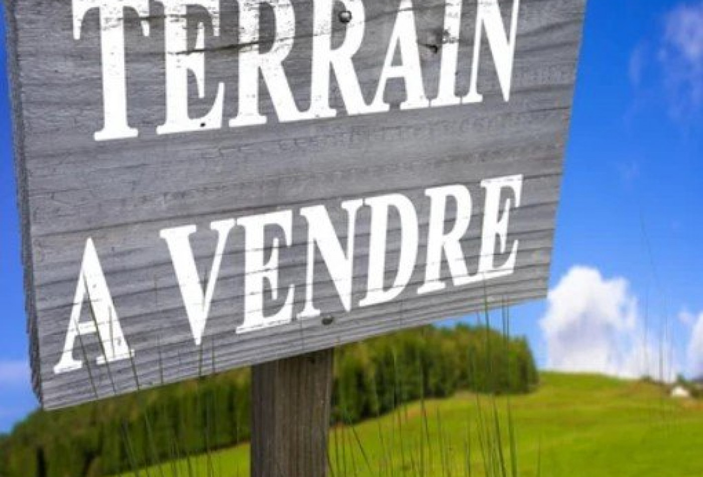 vente Terrain constructible Saint Benoit Sur Loire - Photo 2