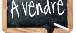vente Terrain constructible Tigy