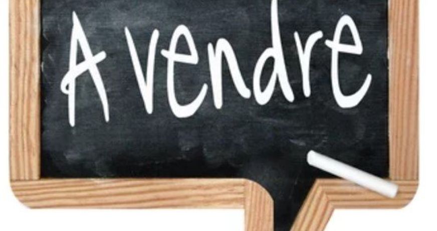 vente Terrain constructible Tigy