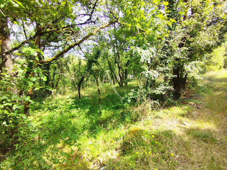 à vendre Terrain 
Crayssac
 - Photo 2