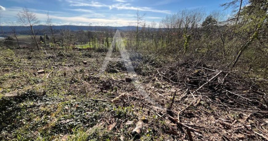 vente Terrain
Prayssac