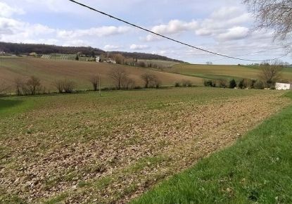 vente Terrain 
Lauzerte