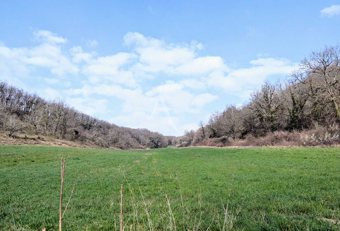 vente Maison
Montcuq
- Photo 9