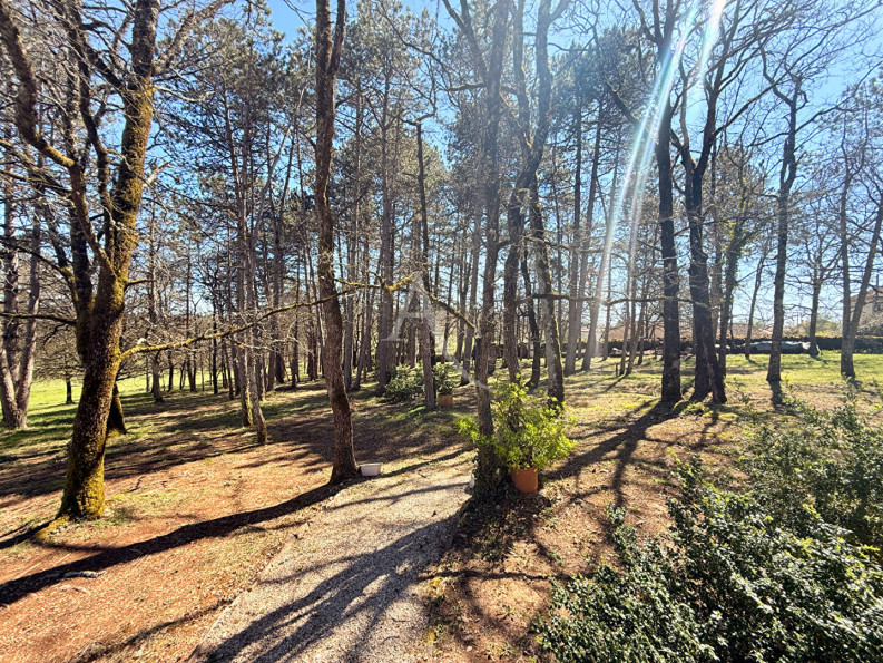 à vendre Maison
St Vincent Rive D Olt
- Photo 3