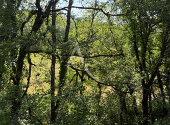 vente Terrain
Labastide Du Vert