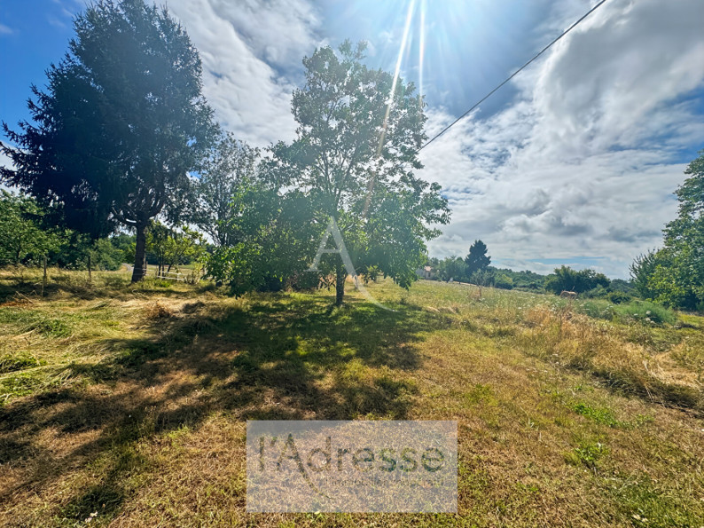 à vendre Maison
Cassagnes
- Photo 8