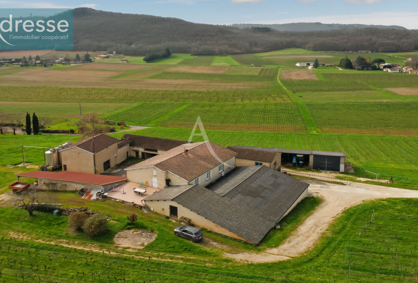vente Maison
Puy L Eveque
- Photo 1