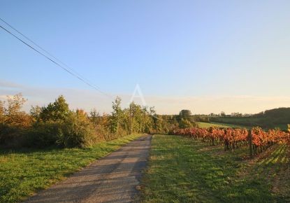 vente Terrain
Prayssac