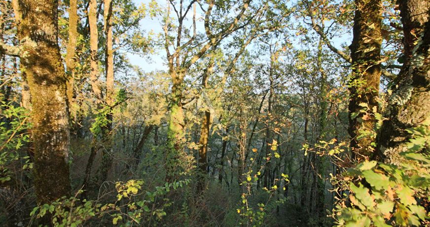 vente Terrain
Prayssac