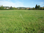 à vendre Terrain
Puy L Eveque