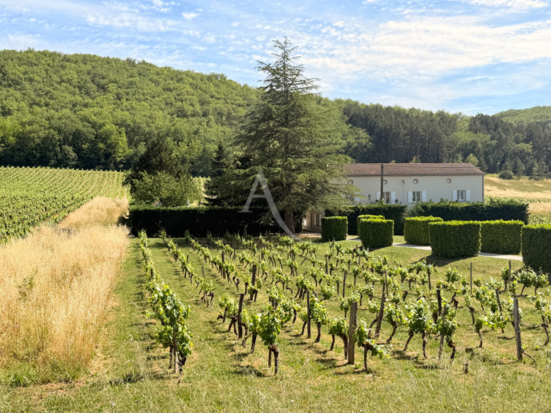 à vendre Maison
Luzech
- Photo 2
