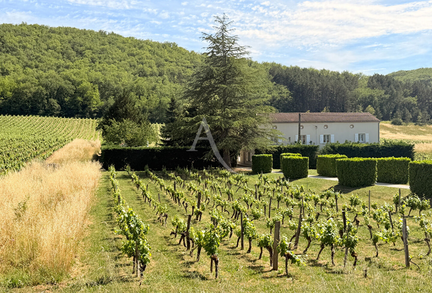 vente Maison
Luzech
- Photo 2