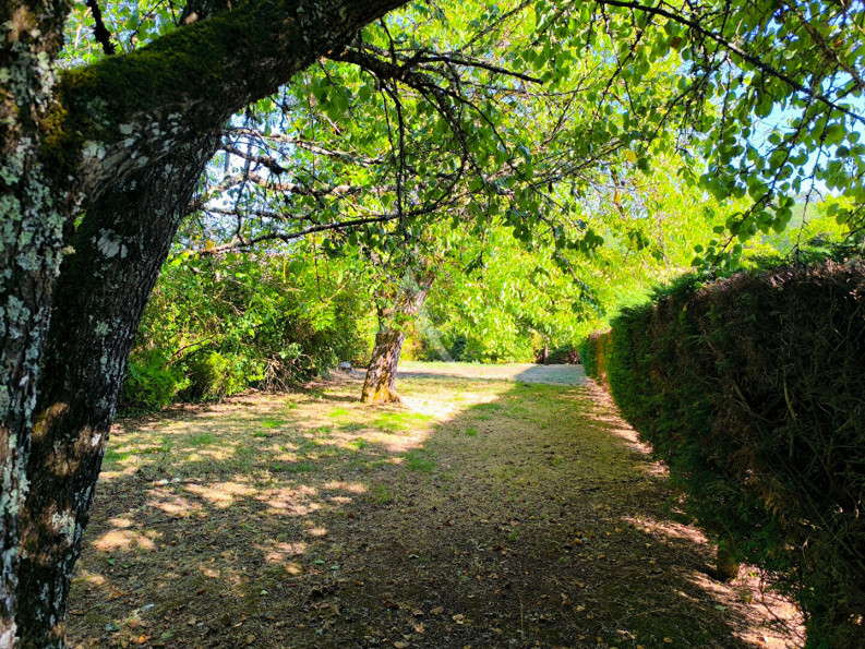 à vendre Maison
Goujounac
- Photo 13