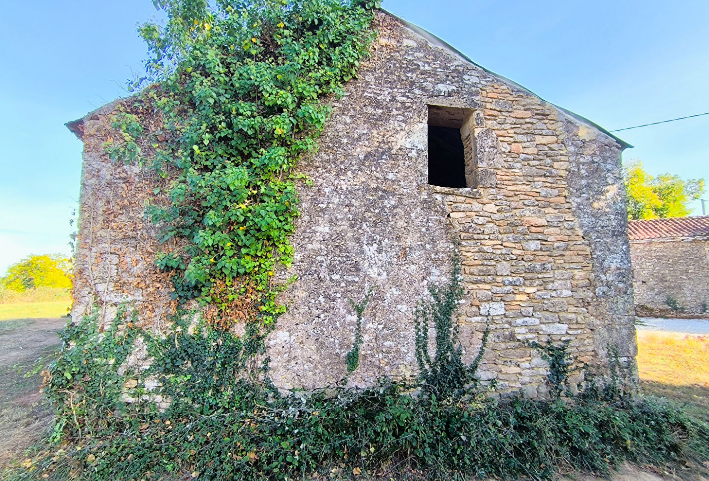 vente Grange
Pomarede
- Photo 2