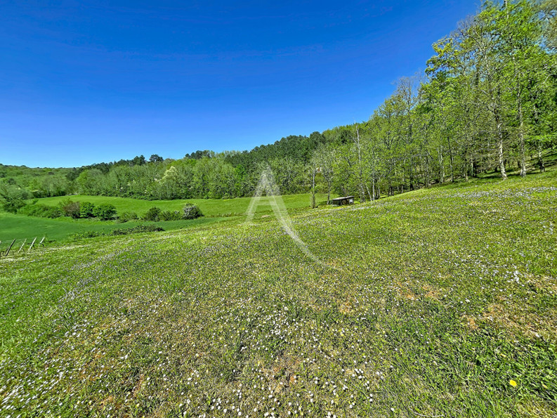 for sale Maison
Puy L Eveque
- Photo 14