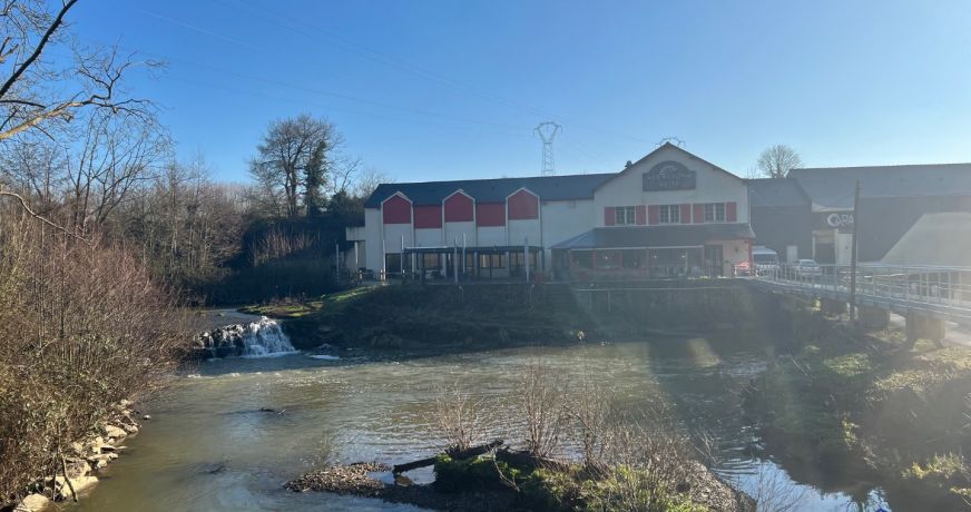 vente Beaupreau En Mauges