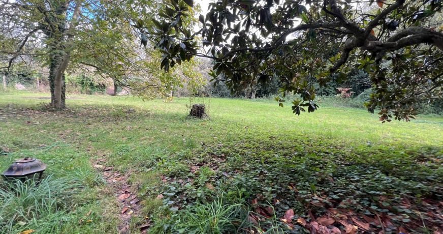 vente Terrain Mauges-sur-loire