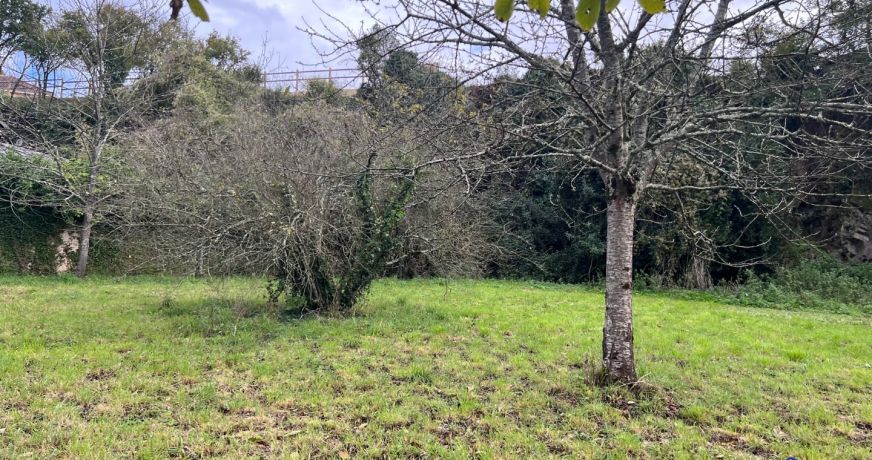 vente Terrain Mauges-sur-loire