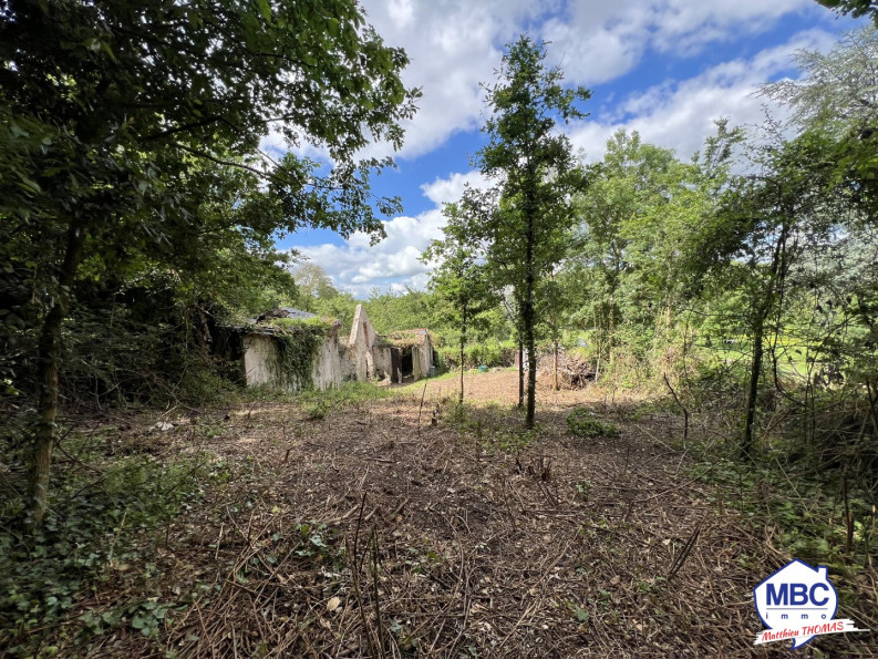 vente Maison Mauges-sur-loire - Photo 4