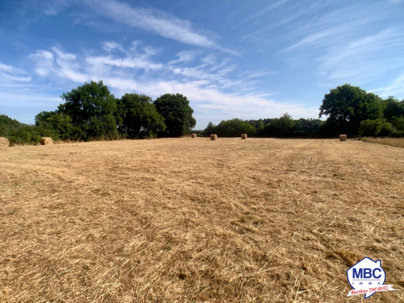 vente Maison Montrevault Sur Evre - Photo 8