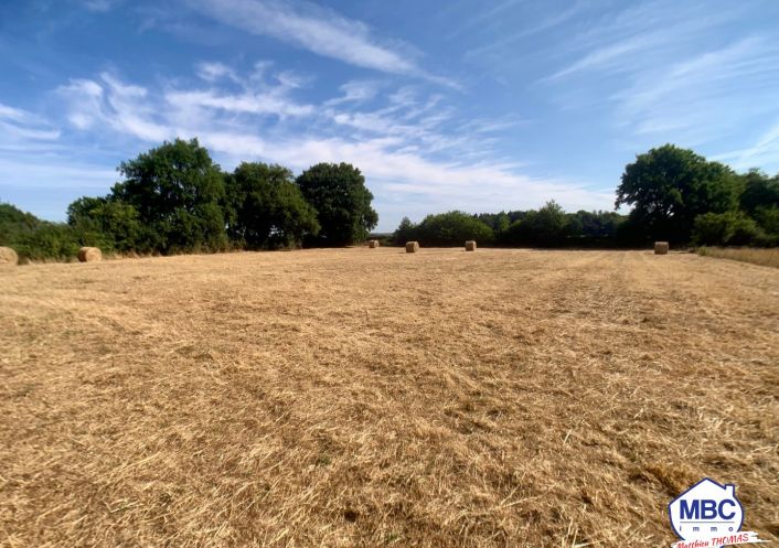 vente Maison Montrevault Sur Evre