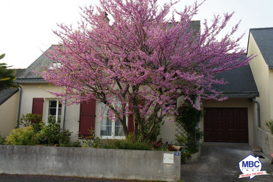 vente Maison Saint Florent Le Vieil - Photo 1