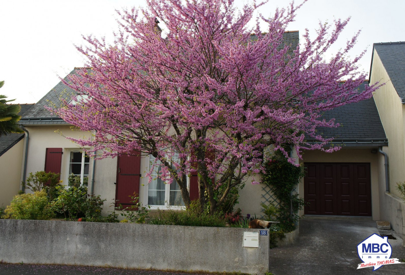 vente Maison Saint Florent Le Vieil - Photo 1