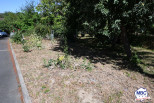 vente Maison Saint Germain Sur Moine