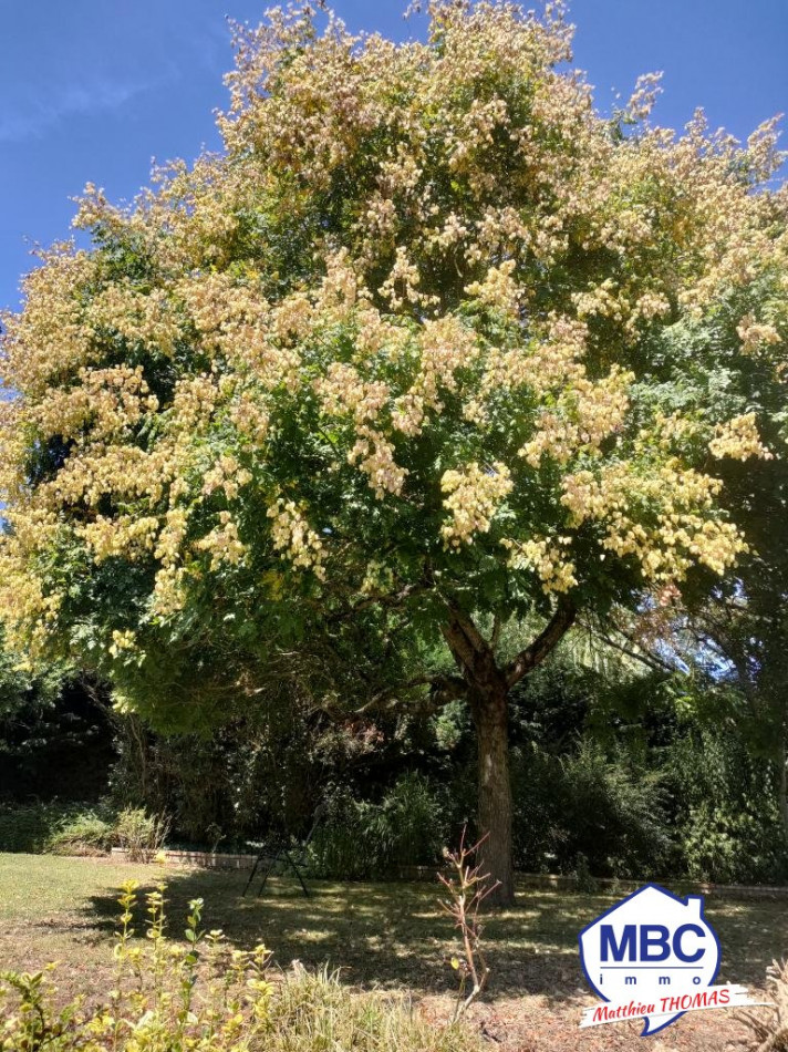 sale Maison Getigne - Photo 6