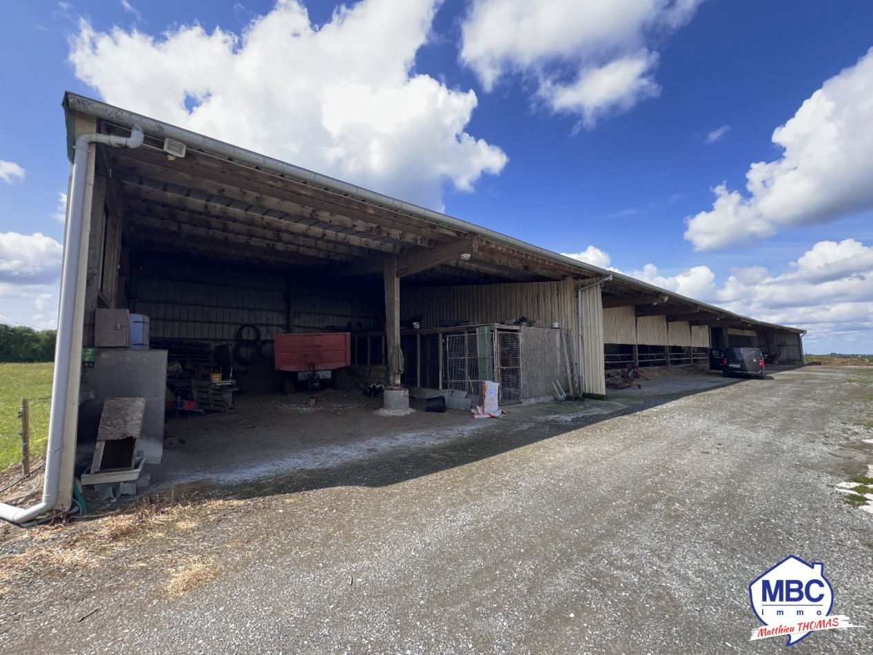 vente Bâtiment Mauges-sur-loire - Photo 2