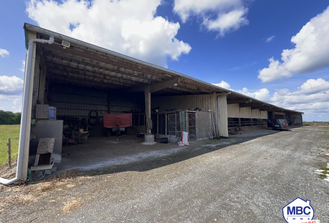 vente Bâtiment Mauges-sur-loire - Photo 2