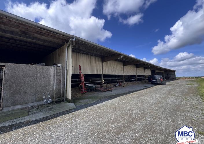 vente Bâtiment Mauges-sur-loire
