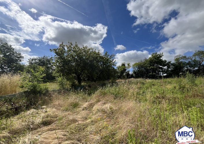 vente Maison Oree D'anjou