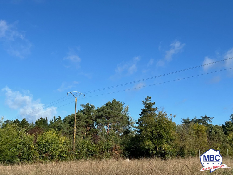 vente Terrain constructible Loireauxence - Photo 6