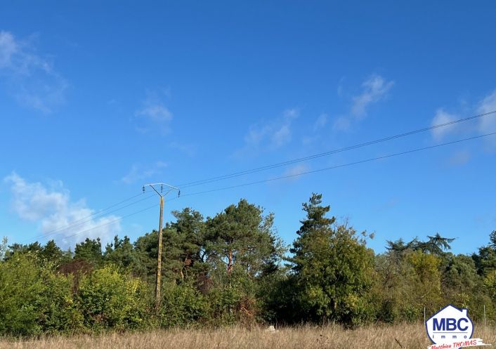 vente Terrain constructible Loireauxence