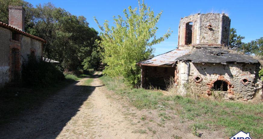 vente Longere Saint Florent Le Vieil