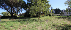 vente Longere Saint Florent Le Vieil
