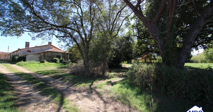 vente Longere Saint Florent Le Vieil