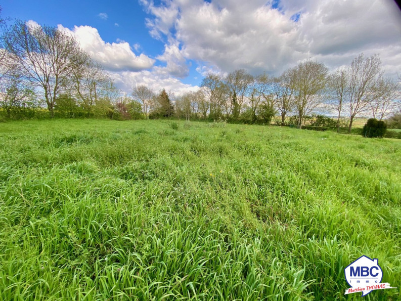 vente Maison Montrevault Sur Evre - Photo 8