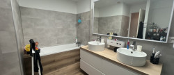 vente Maison La Seguiniere