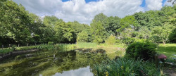 vente Terrain de loisir Saint Aubin Des Ormeaux