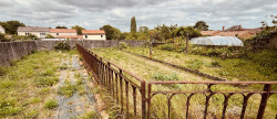 vente Maison Chalonnes Sur Loire