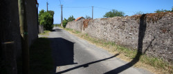 vente Terrain à aménager Saint Florent Le Vieil