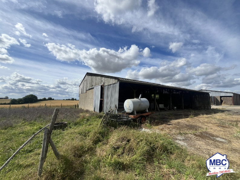 vente Bâtiment Mauges-sur-loire - Photo 1