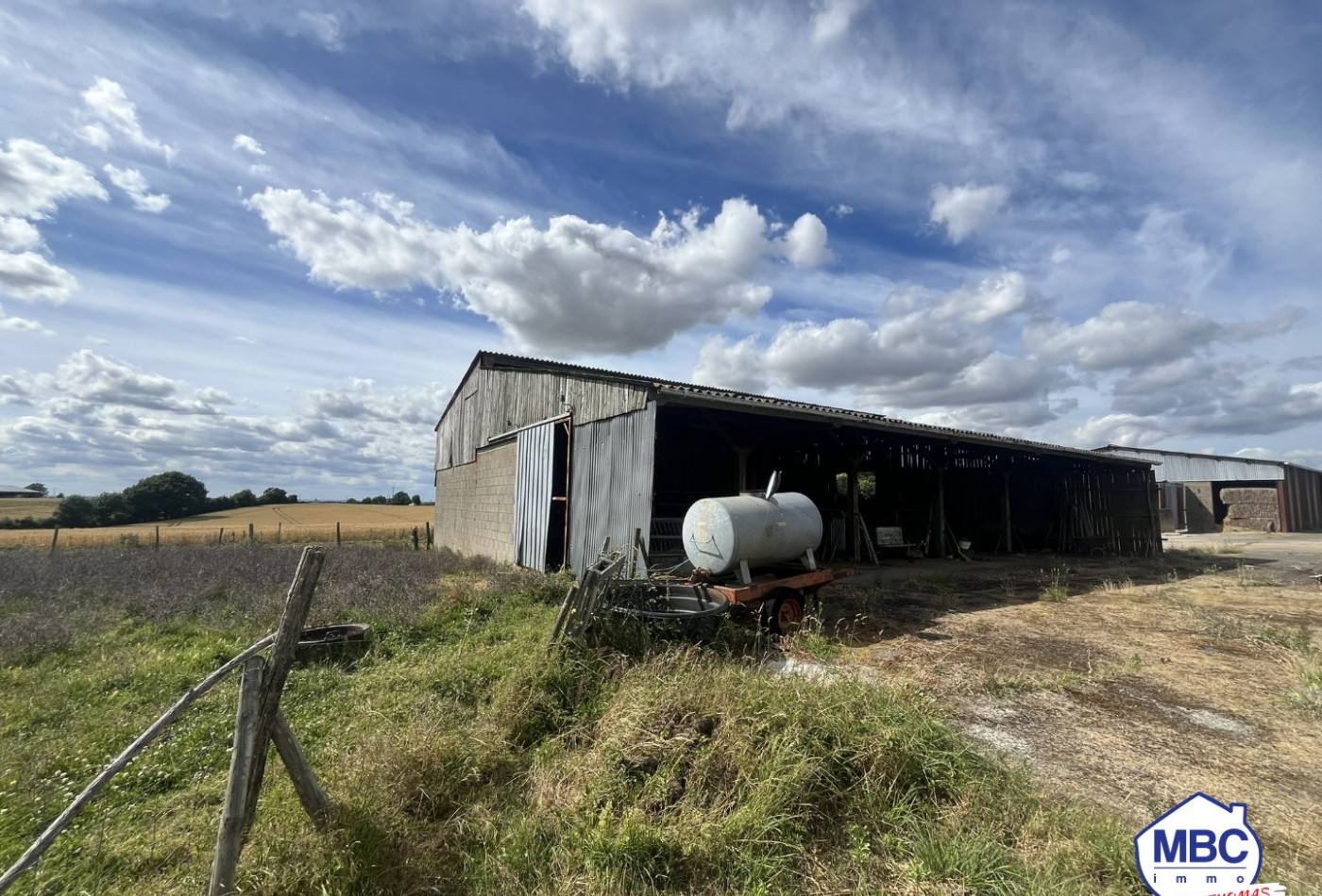 vente Bâtiment Mauges-sur-loire - Photo 1