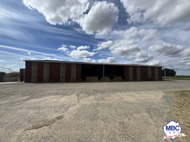 vente Bâtiment Mauges-sur-loire - Photo 1