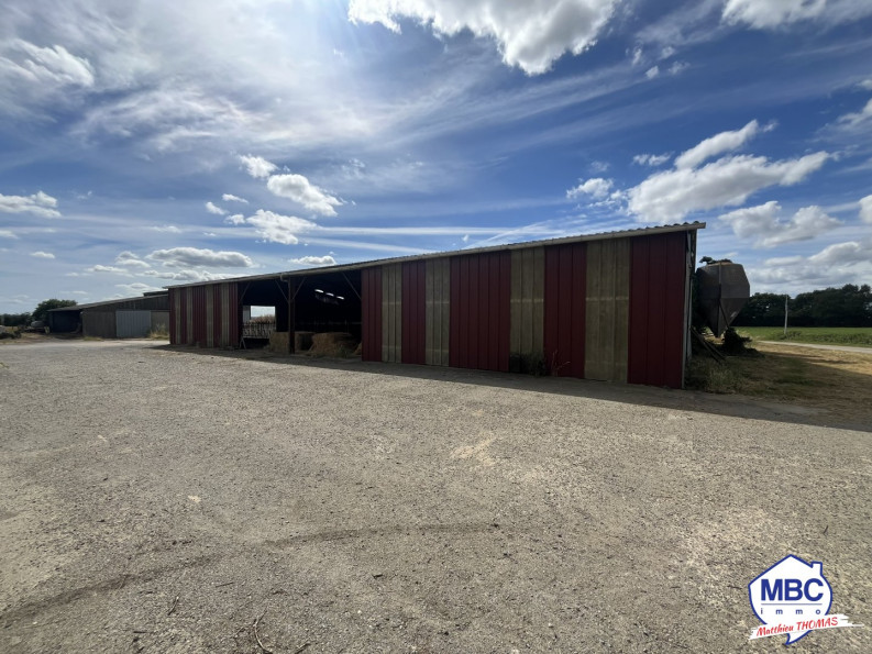 vente Bâtiment Mauges-sur-loire - Photo 4