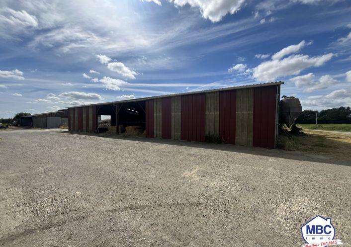 vente Bâtiment Mauges-sur-loire